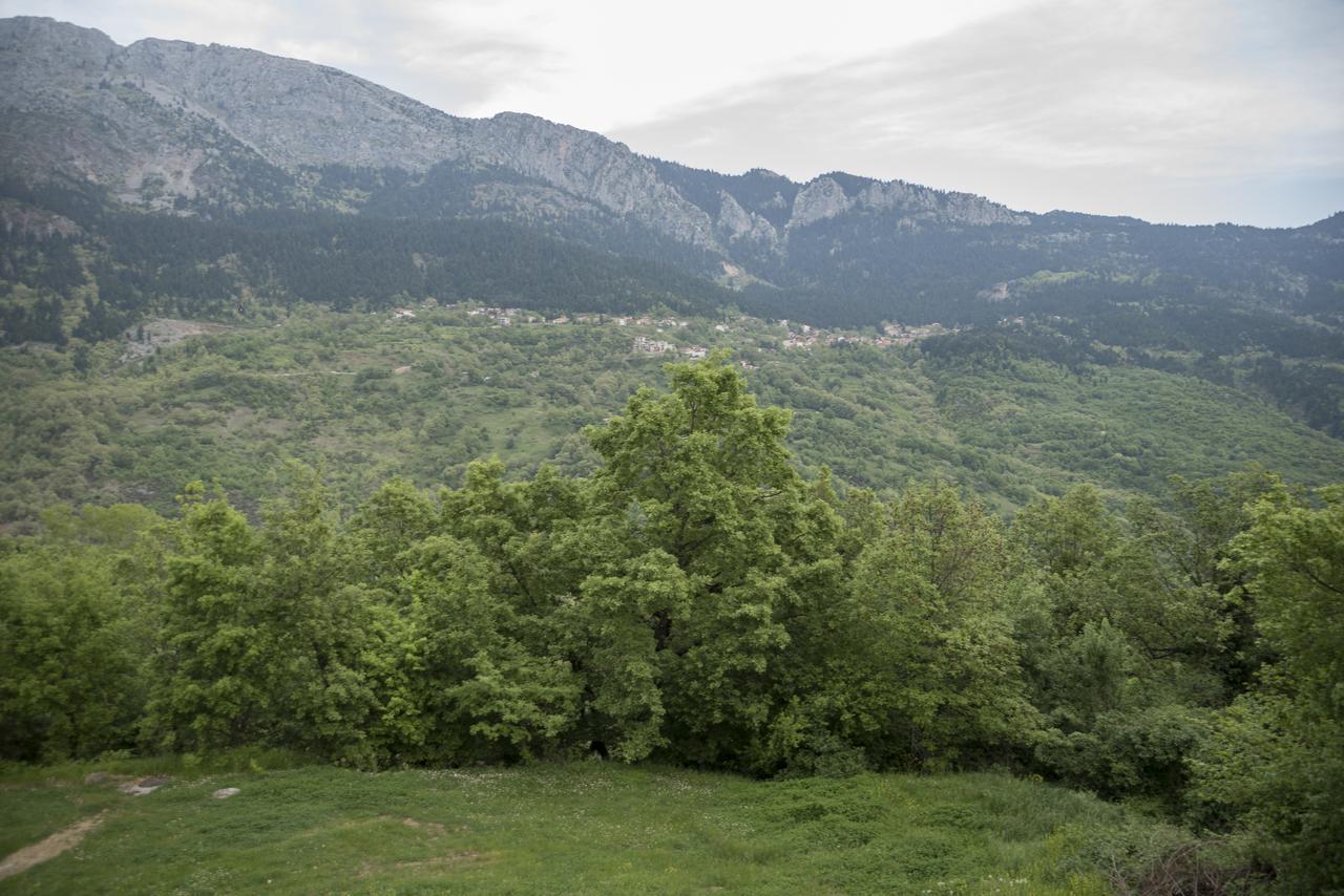 Archontiko Christodoulou Aparthotel Βροντερό Εξωτερικό φωτογραφία